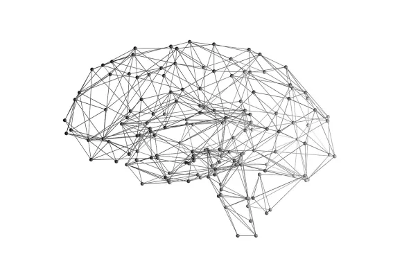 An executive primer image